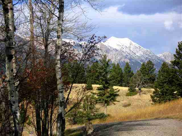 Property Photo:  900 Cloud Nine Road  MT 59715 