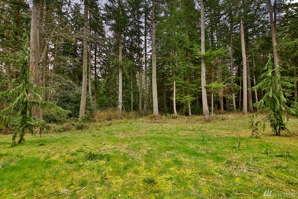 Property Photo:  6687 Cliffordsville Rd  WA 98236 