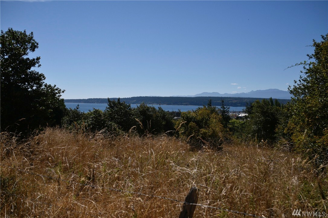 Property Photo:  549 Scott St  WA 98368 