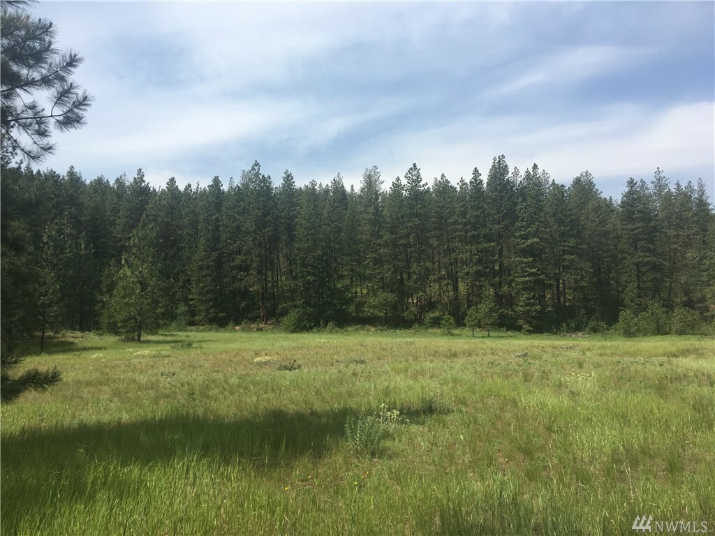 Property Photo:  3 Blackjack Rd  WA 98863 