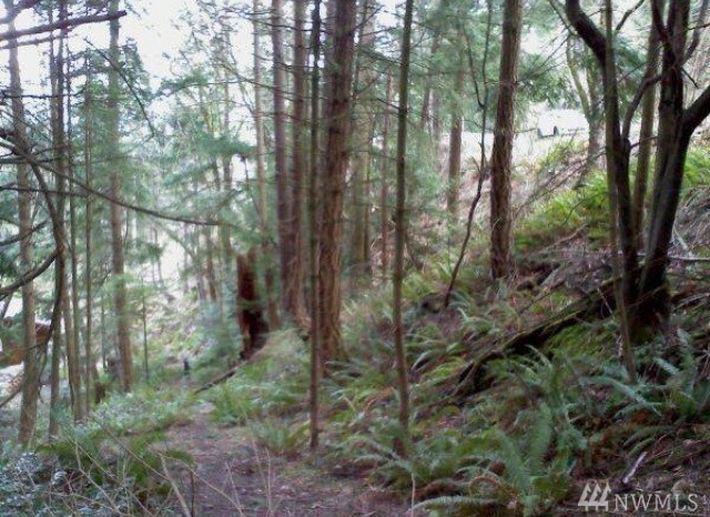 Property Photo:  3002 2998 Hales Passage Dr  WA 98262 