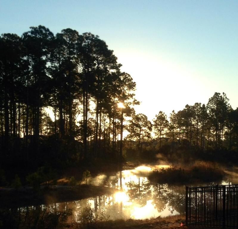 Property Photo: 791 Cocobolo Drive FL 32459