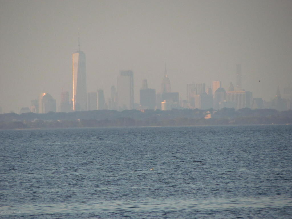 Property Photo:  902 Harris Avenue  NJ 07735 