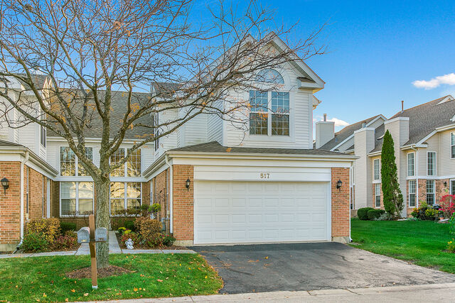 Property Photo:  517 Citadel Circle  IL 60559 