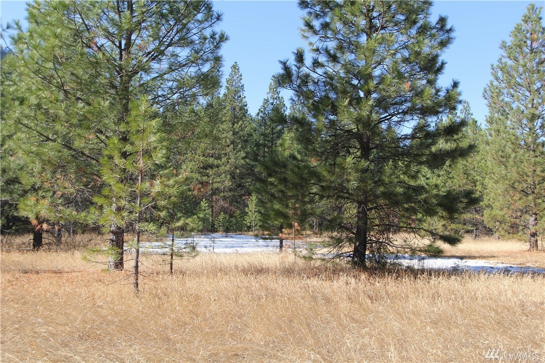 Property Photo:  10 Mazama Springs Wy  WA 98833 