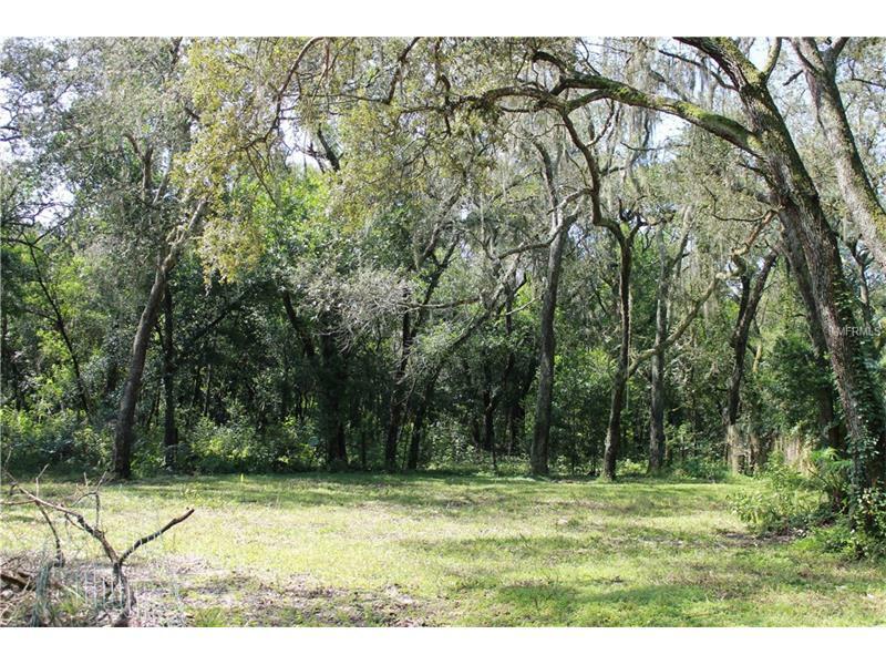Property Photo: 9605 Rockglen Drive FL 33592