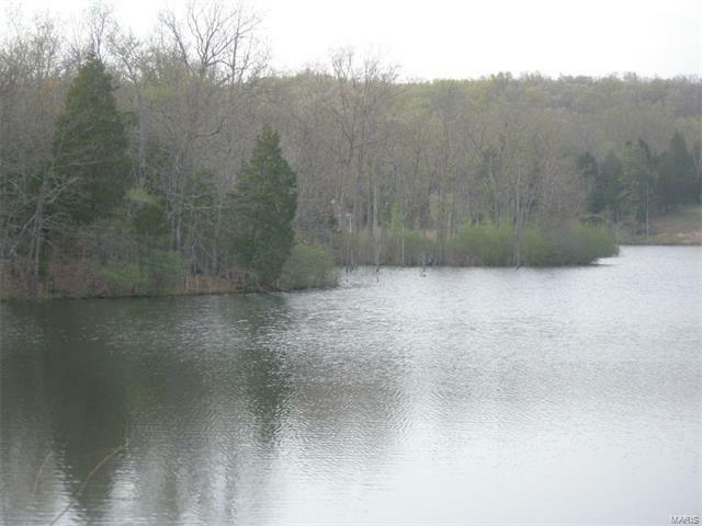 Property Photo: 1 Lot 1 Buzzard Rock Lake MO 63640