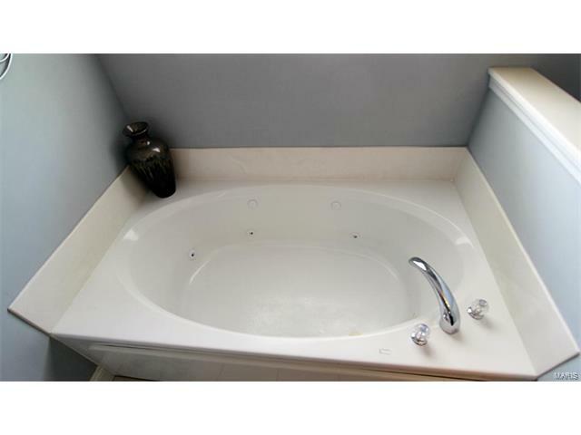 Property Photo: 855 Albert Avenue MO 63122