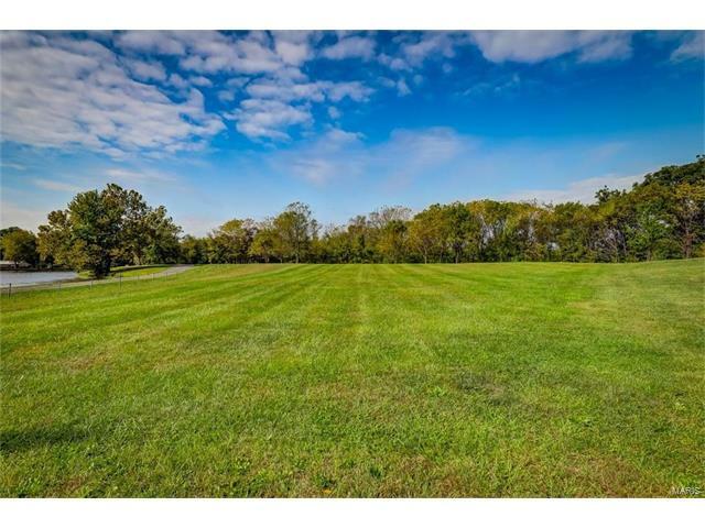 Property Photo: 45 Silver Fox Court IL 62249