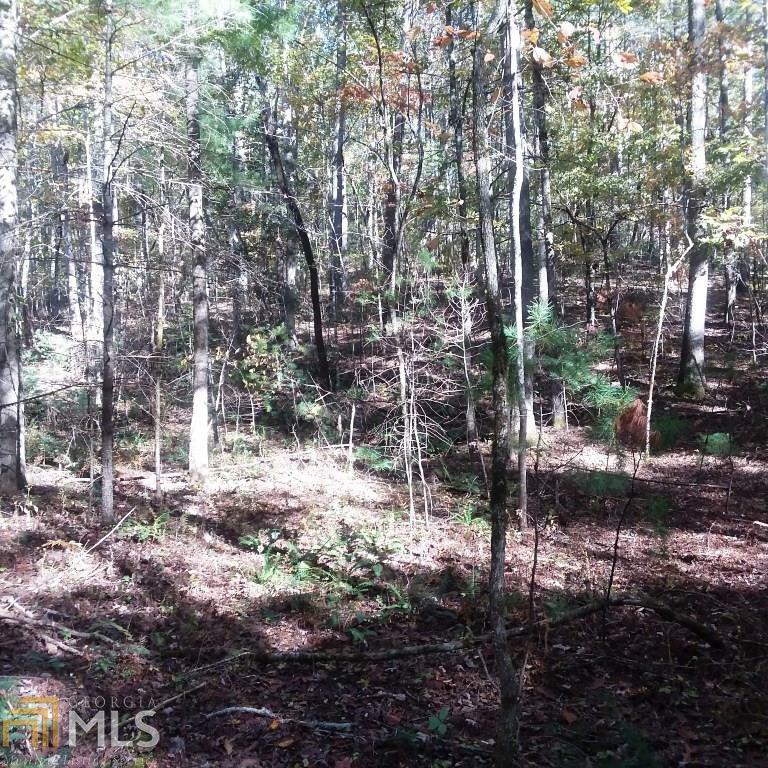 2 Sluder Pl  Ellijay GA 30540 photo