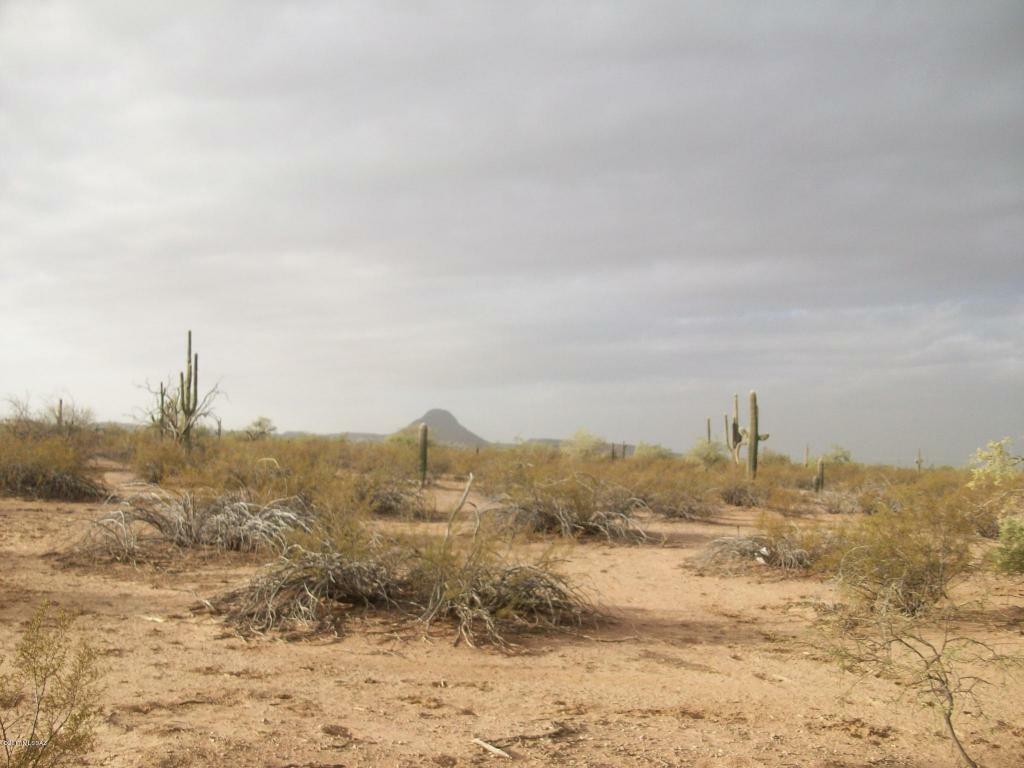 Property Photo:  9553 W Twin Peaks Road  AZ 85743 