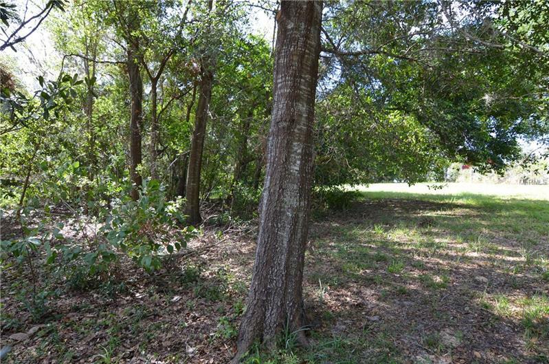 Property Photo:  Crescent Lane  FL 34711 