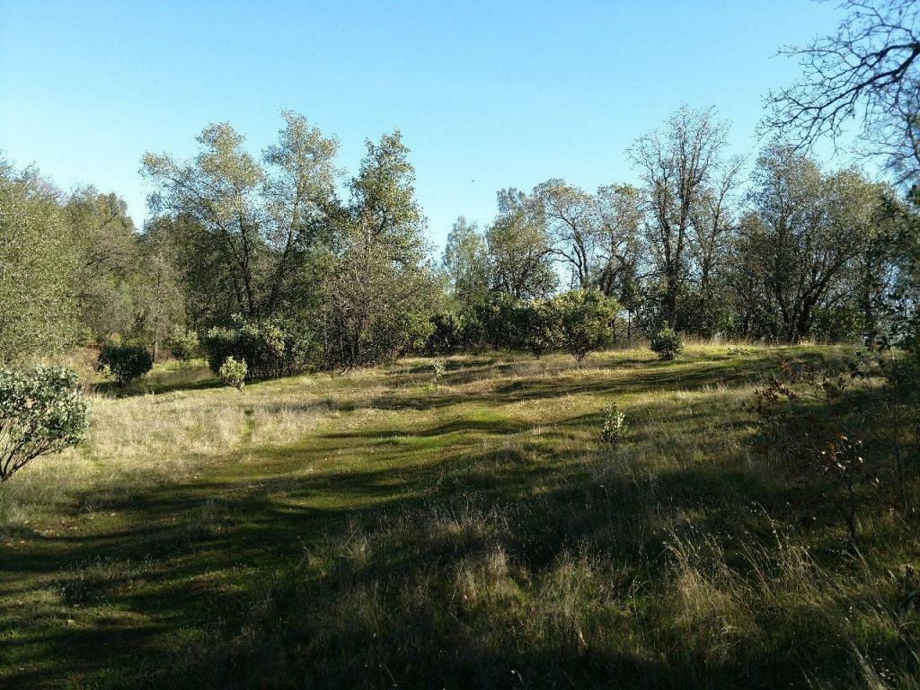 Property Photo:  Albatross Way  CA 96003 