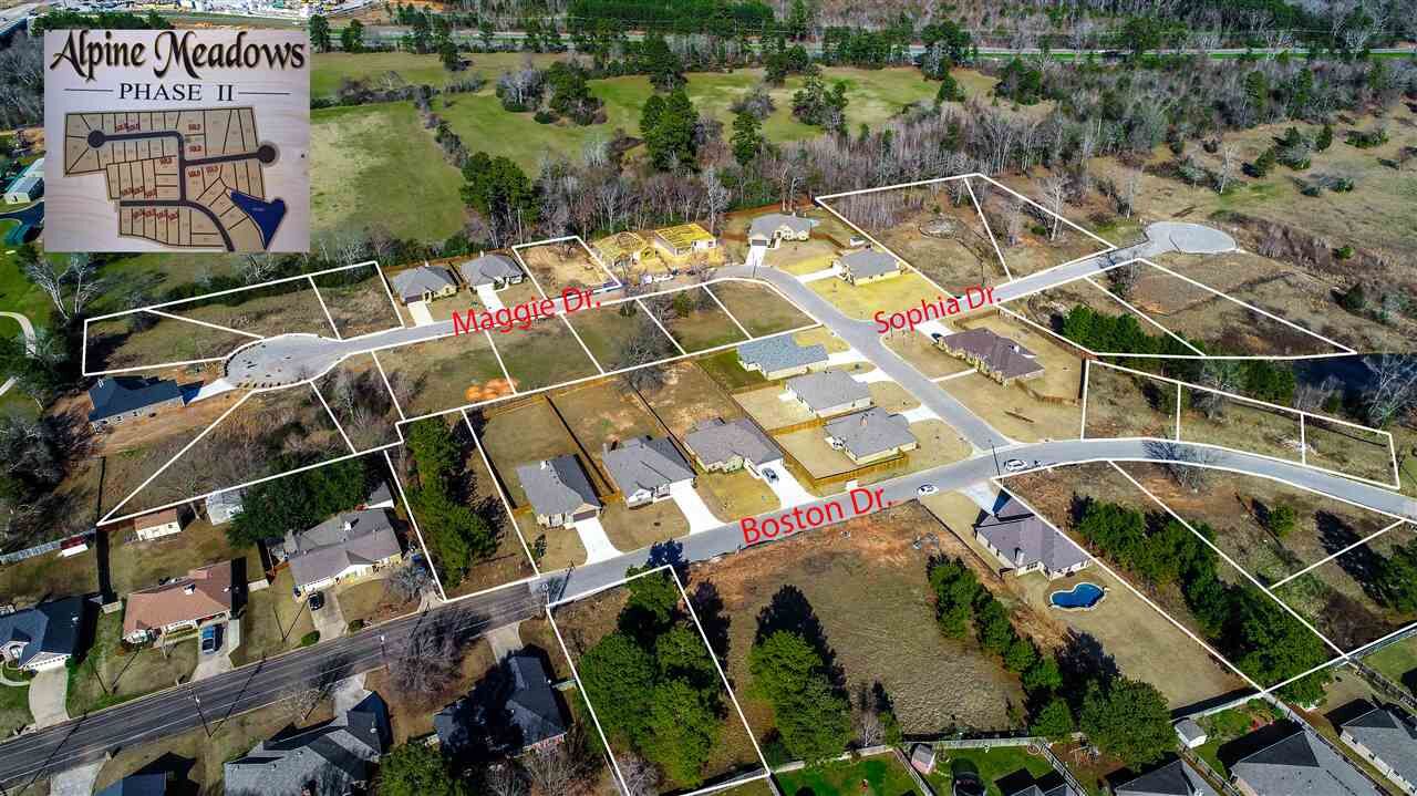 Property Photo: 2102 Boston Drive TX 75601