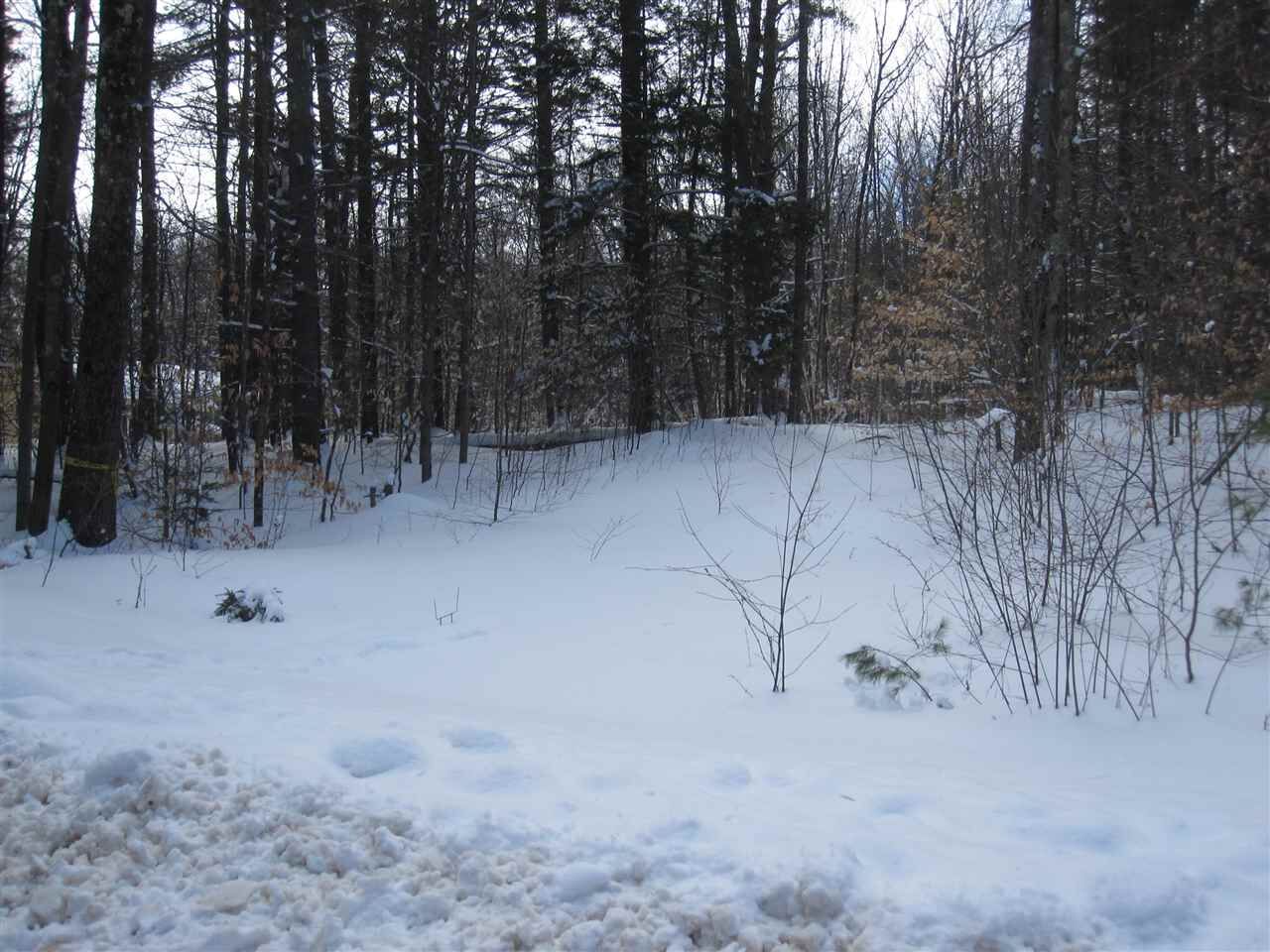 Property Photo:  Cobb Meadow Road  NH 03444 