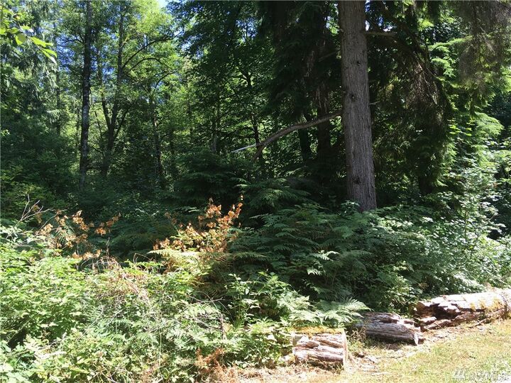 Property Photo: 0 NE 193rd Street WA 98010