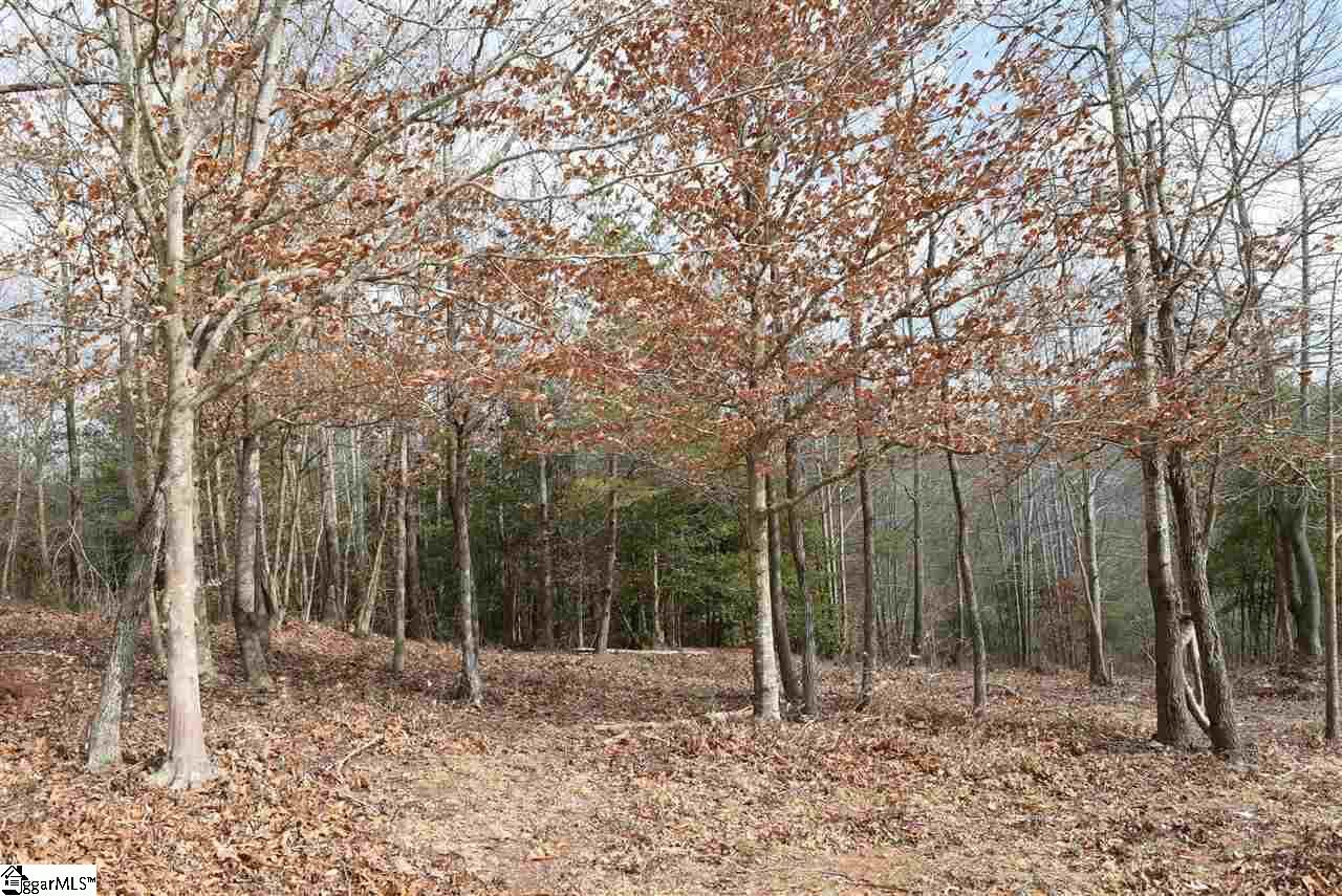 Property Photo:  109 Etowah Lane  SC 29673