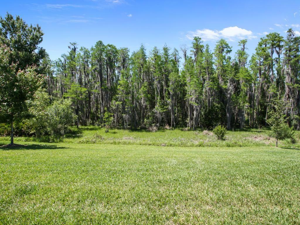 Property Photo:  4383 Ortona Lane  FL 33543 