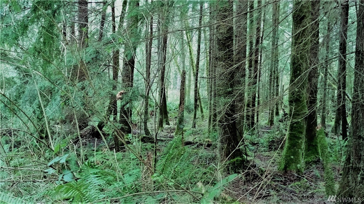Property Photo: 0 SE Hoskins Hill Lane WA 98366