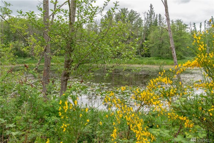 Property Photo:  1453 Hwy 603  WA 98565 