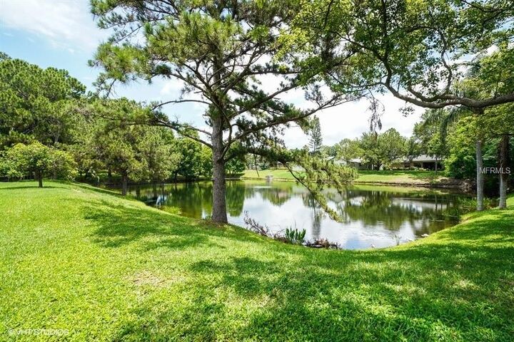 Property Photo: 259 Millstone Drive FL 34683
