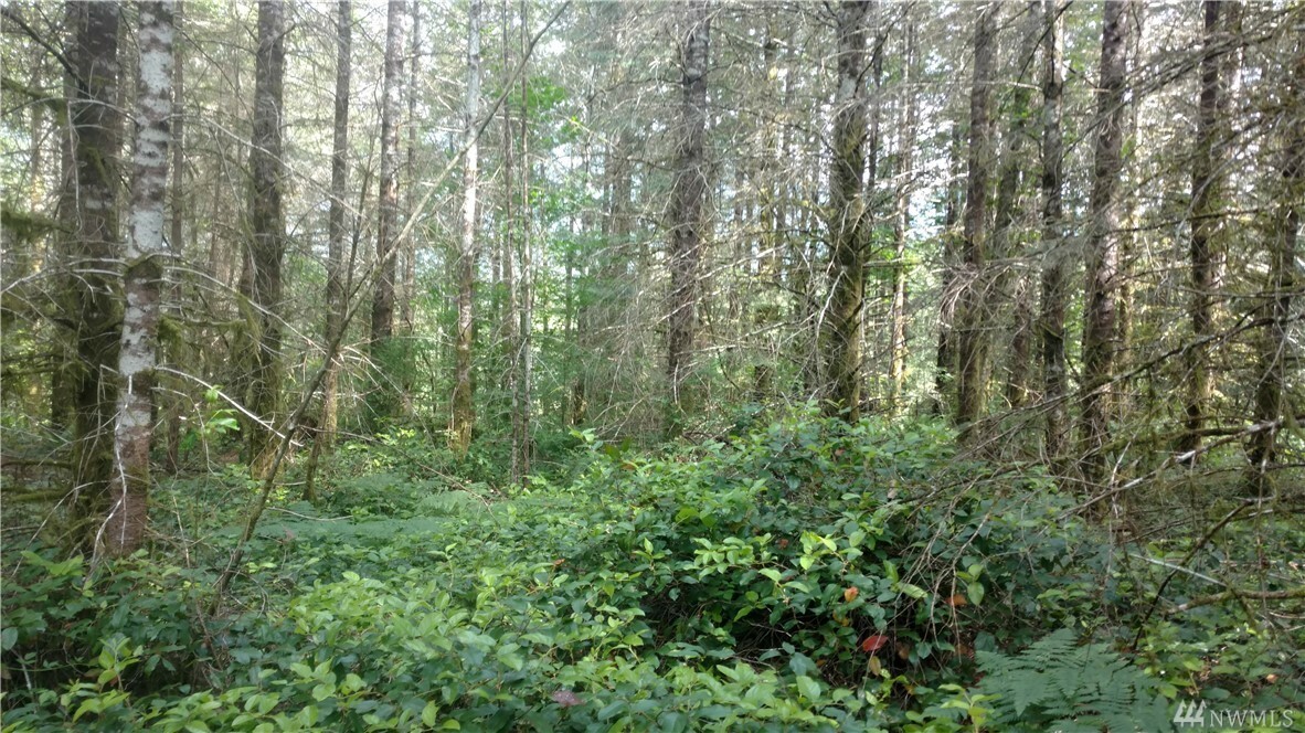 Property Photo:  36 X12 SR 530  WA 98223 