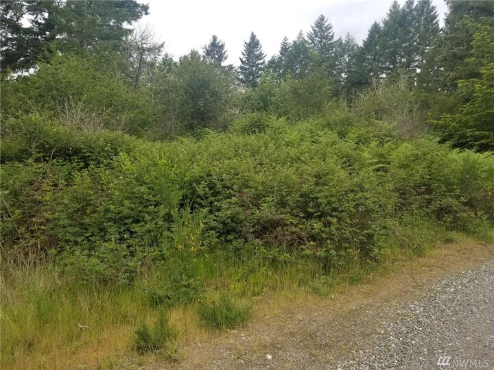 170 2 74th St Kpn  Vaughn WA 98394 photo