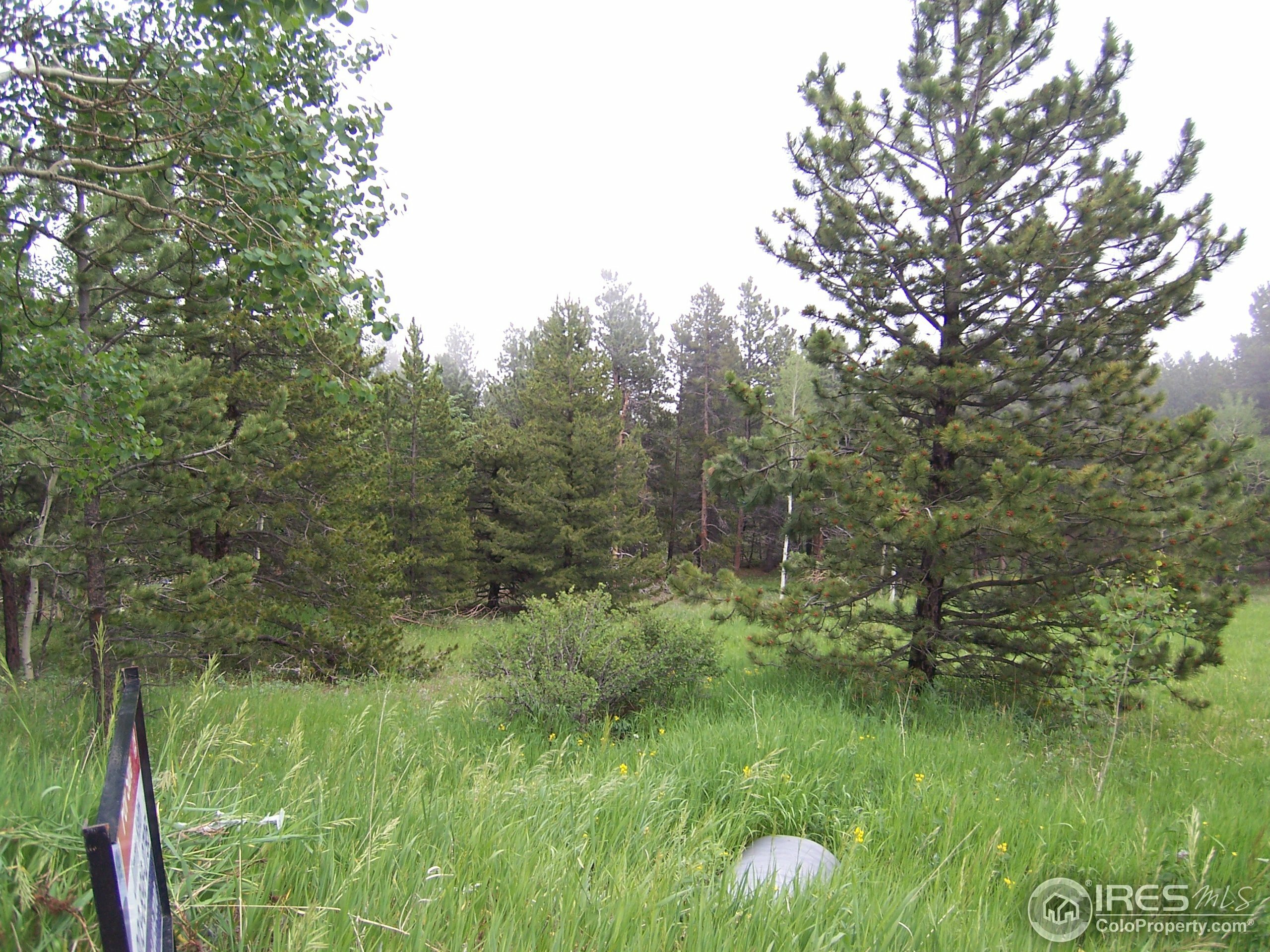 Property Photo:  167 Jed Smith Rd  CO 80481 