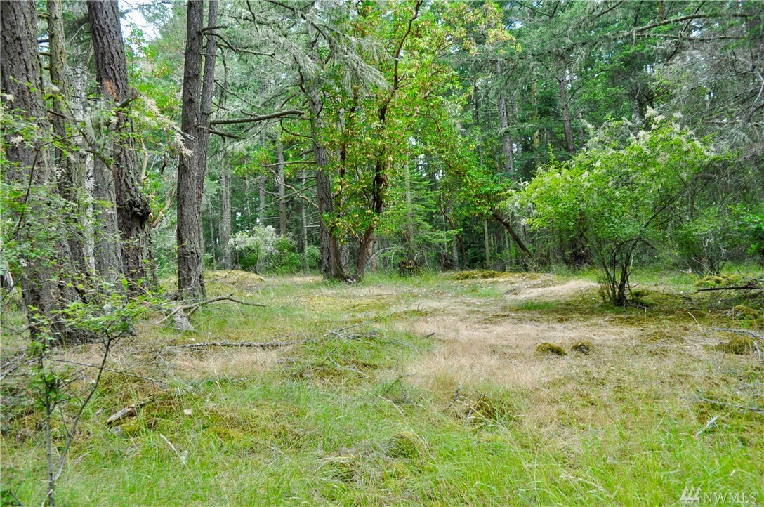 Property Photo:  522 Foster Point Rd  WA 98280 