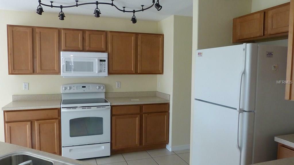 Property Photo: 13543 Fladgate Mark Drive FL 33579
