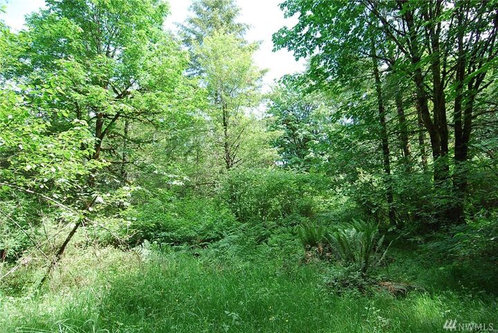 Xxx E Old Farm Rd  Shelton WA 98584 photo