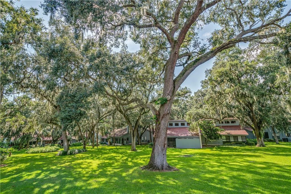 Property Photo:  6657 Sweetbriar Lane  FL 33813 