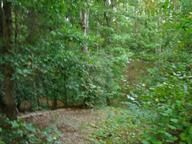 Property Photo:  330 Country Oak Rd  SC 29323 