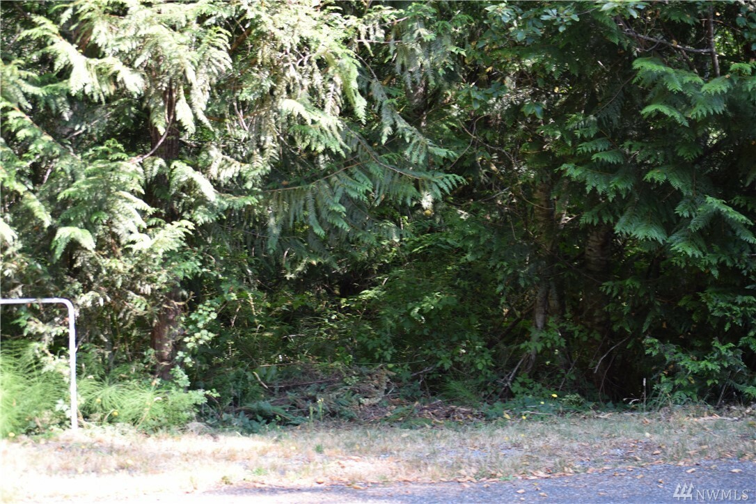 Property Photo:  251 E Willapa Rd  WA 98584 