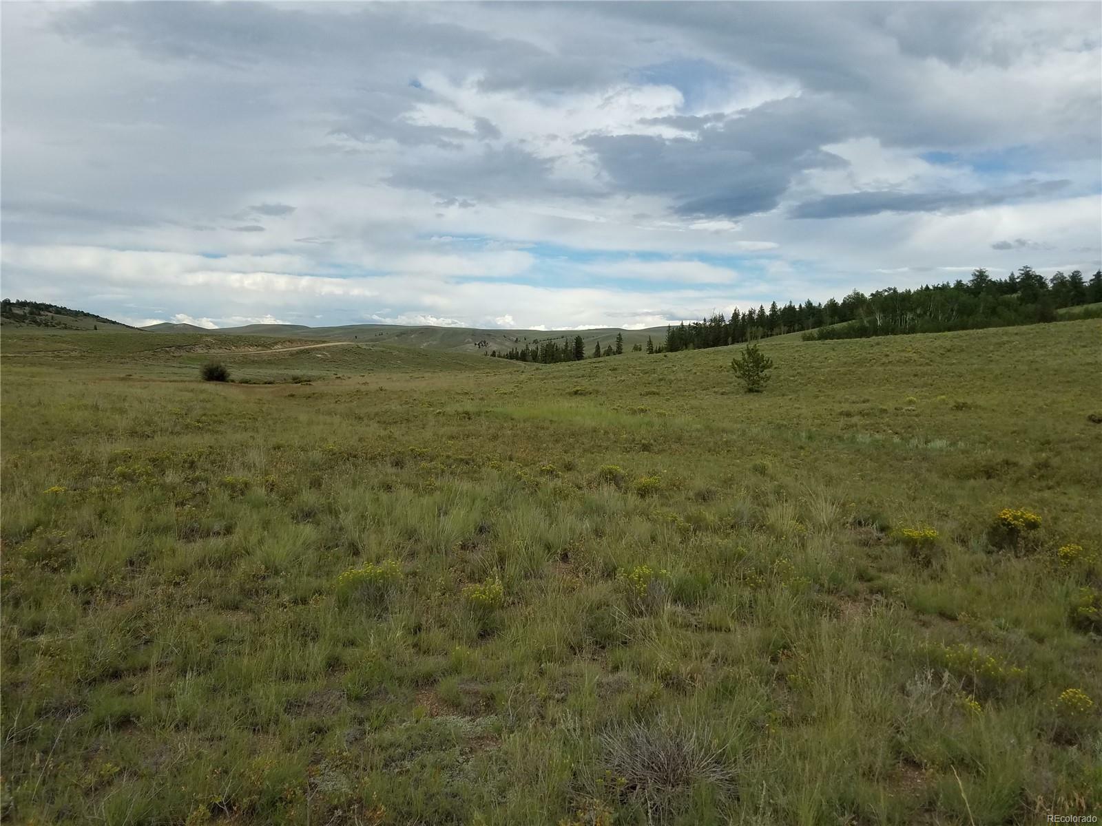 Property Photo:  290-550 Aspen Trail  CO 80449 