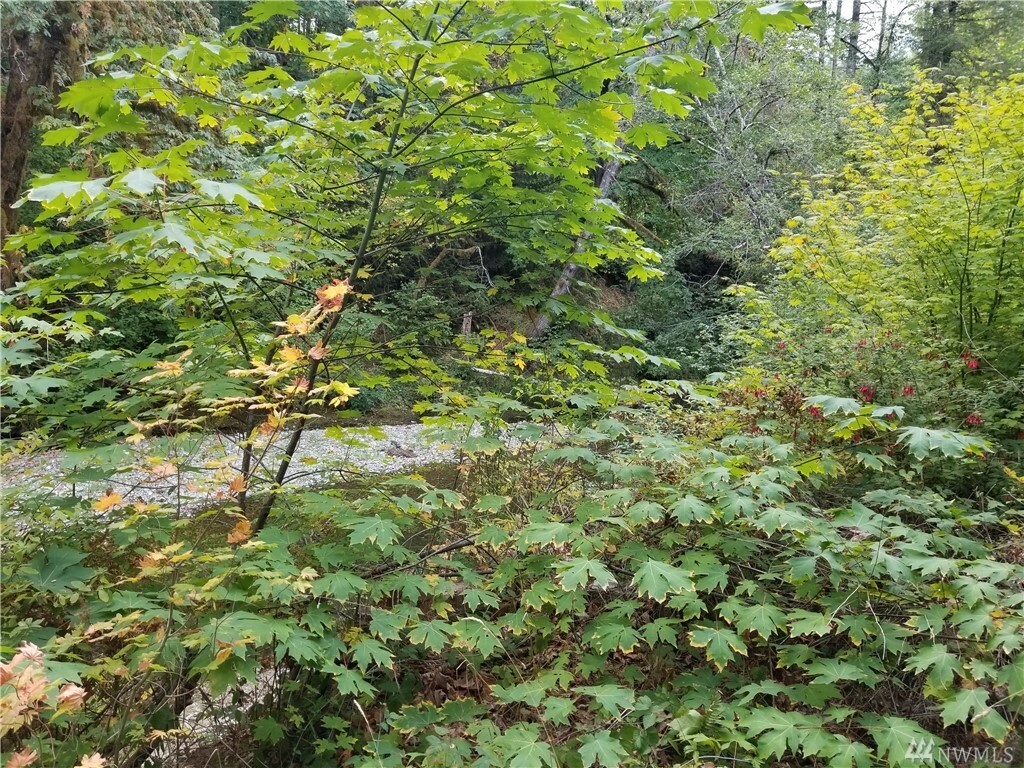 Property Photo: 1987 NE Tahuya River Dr WA 98588