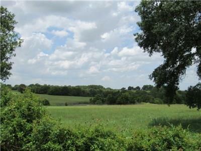 Property Photo: 0000 Hohenwalde School Road TX 77833