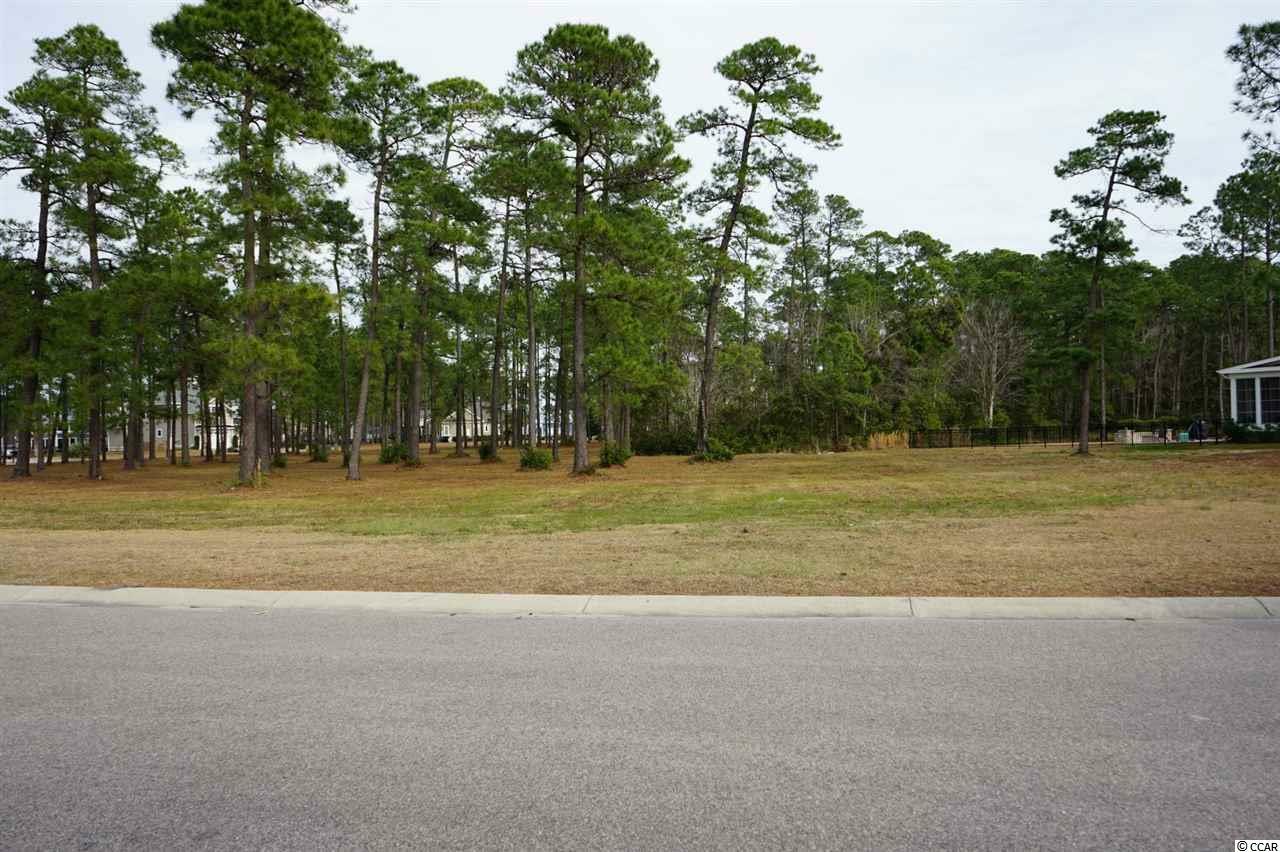 Property Photo:  Lot 86 Starlit Way  SC 29579 