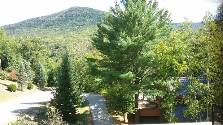 Property Photo: 6 Big Bear Lane NH 03251