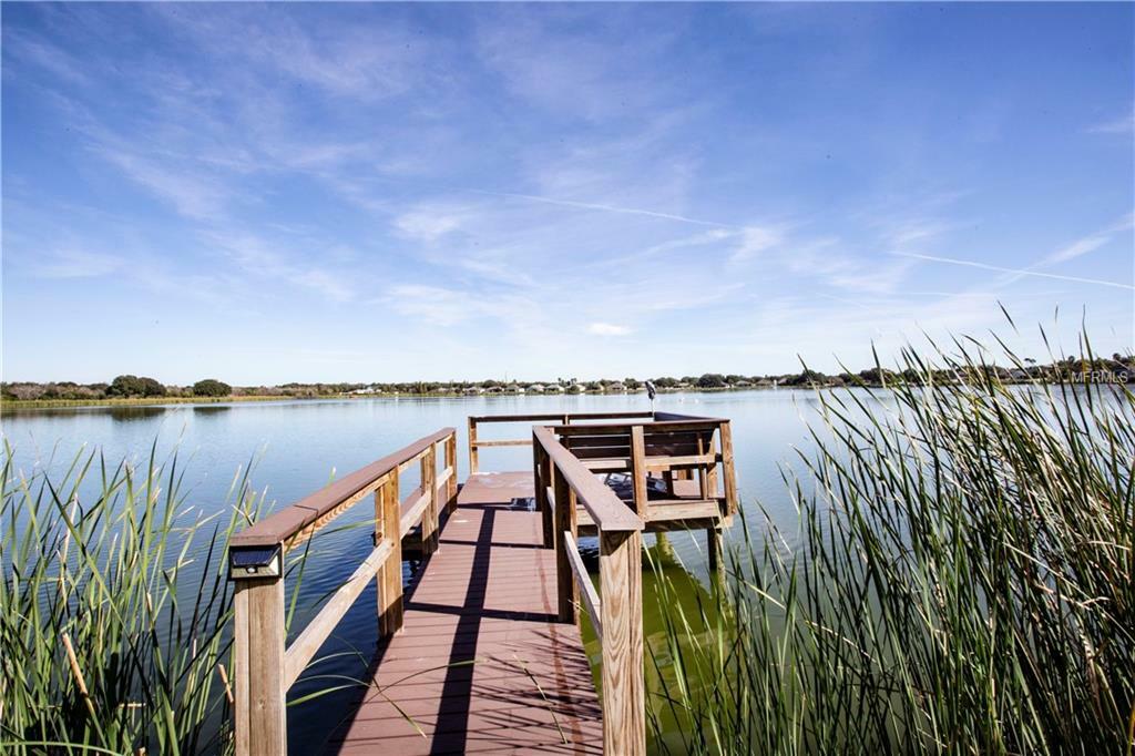 Property Photo: 7317 Colonial Lake Drive FL 33578