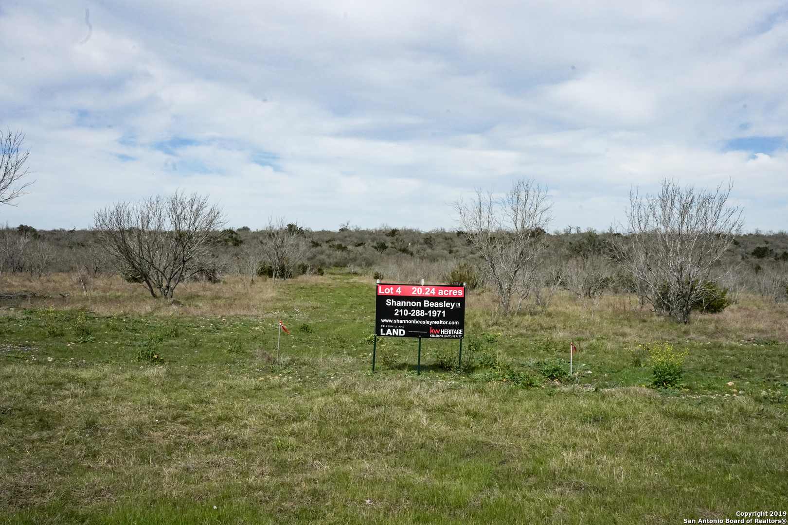 Property Photo:  Lot 4 Fm 2676  TX 78256 