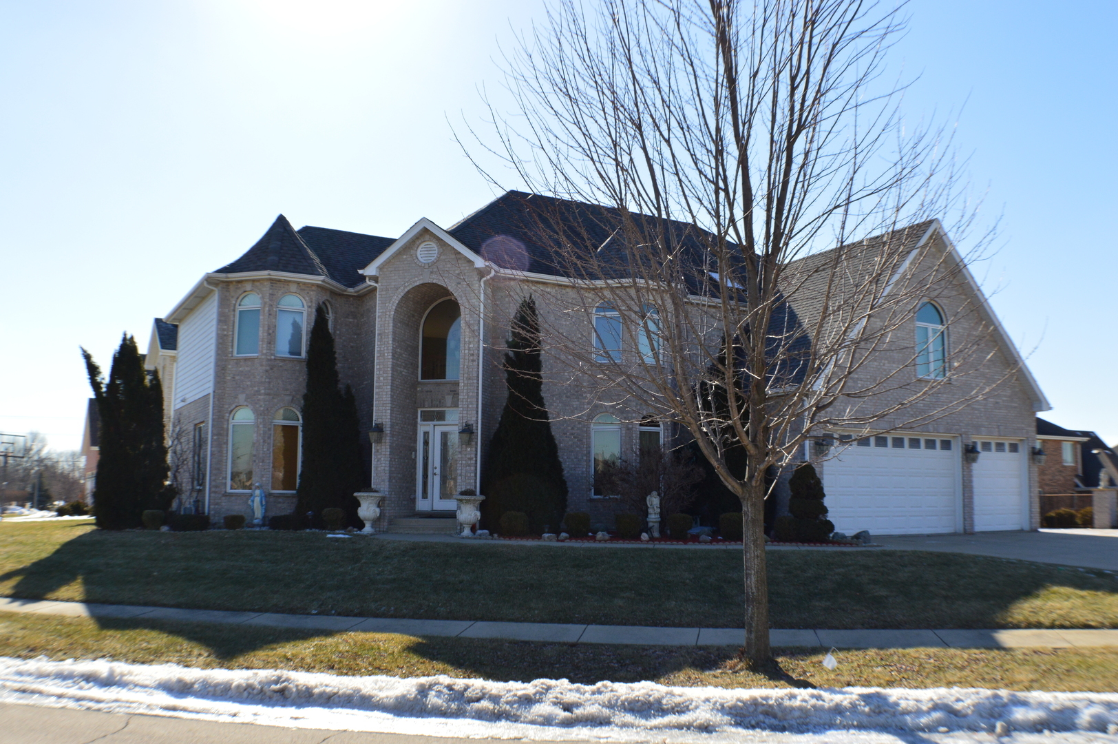 Property Photo: 1255 West Flamingo Drive IL 60172