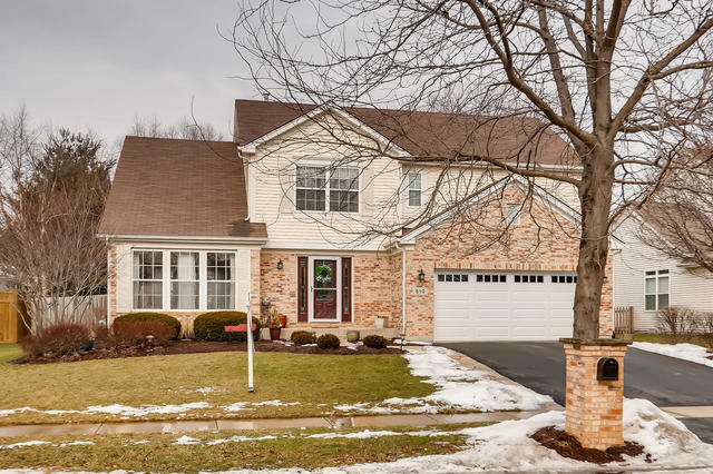 Property Photo: 610 Manhattan Circle IL 60543