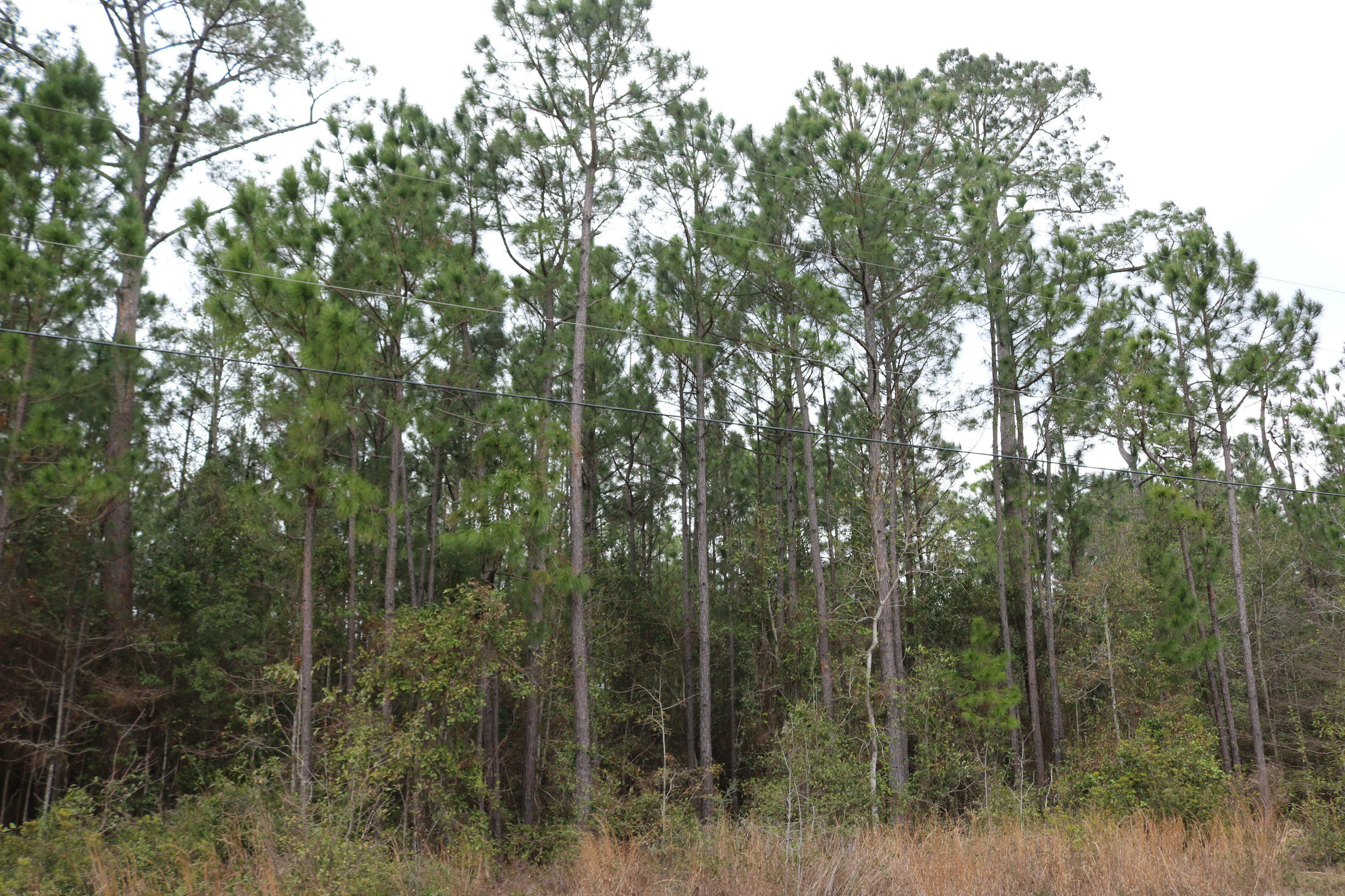 Property Photo:  Lot 10 Harbour Oaks Drive  FL 32583 