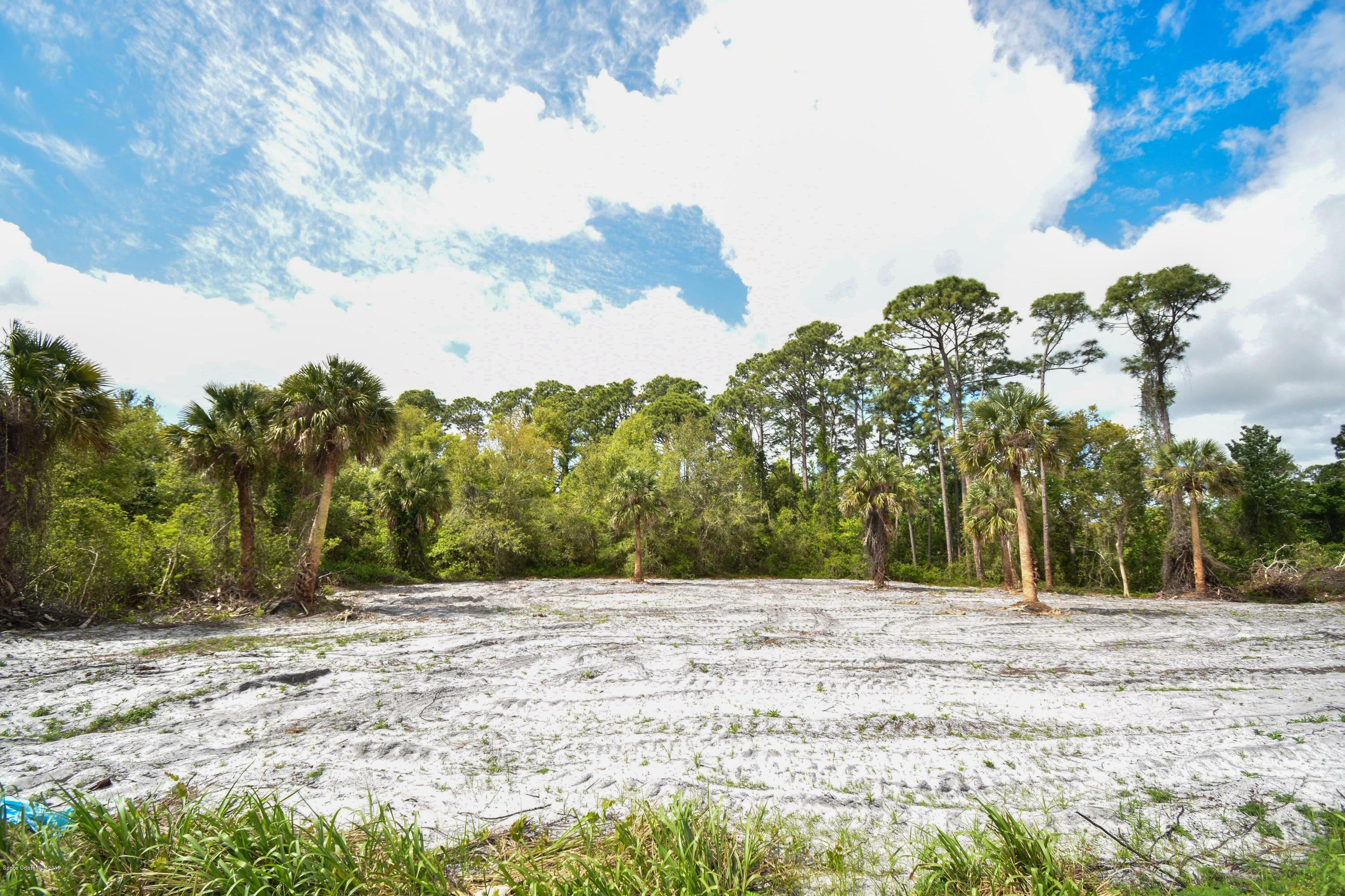 Property Photo:  0000 Highway 1  FL 32754 