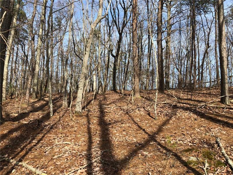 Property Photo:  Lot 23 Settler'S Ridge Drive   30107 