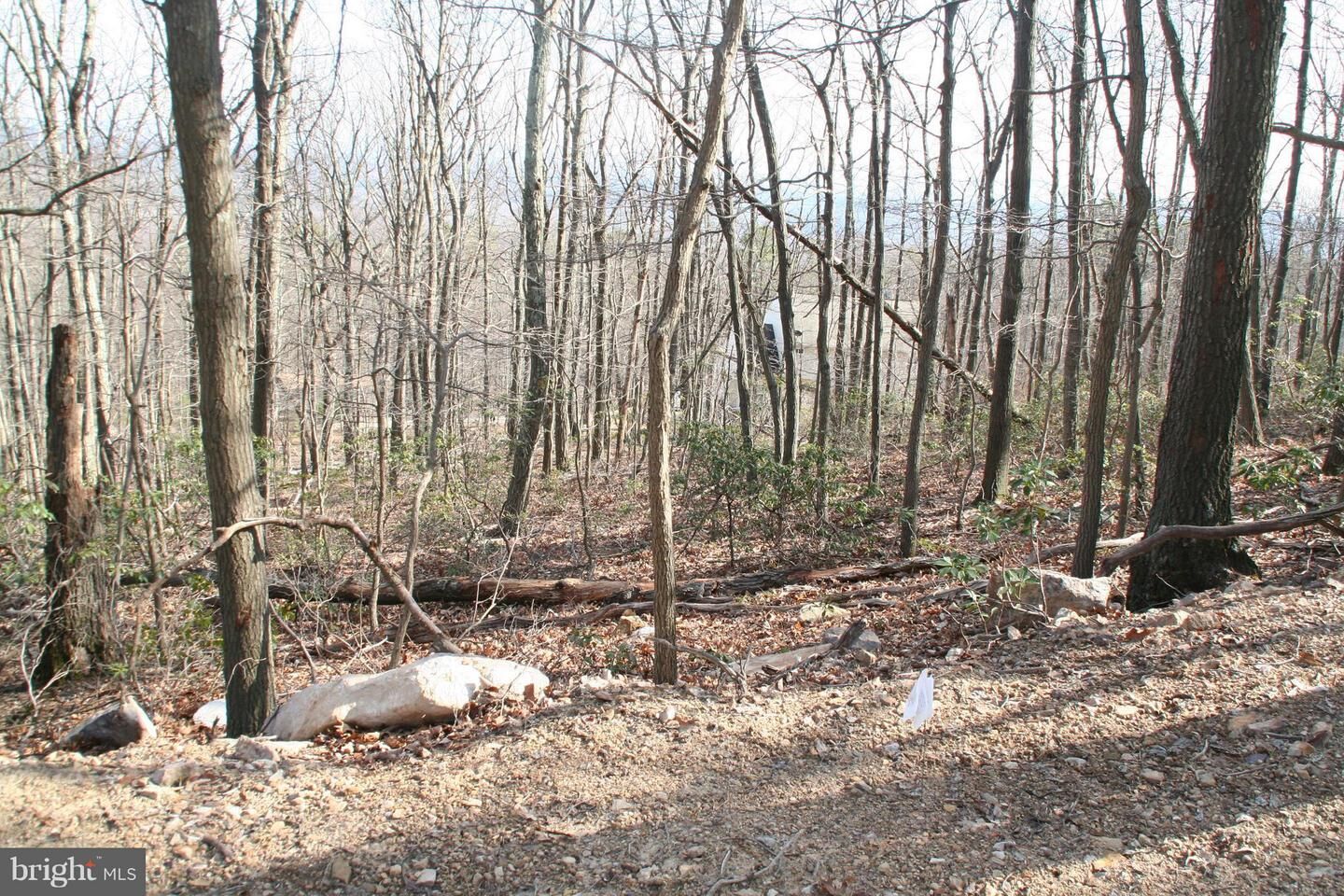 Property Photo:  307 Stag Trail  VA 22602 