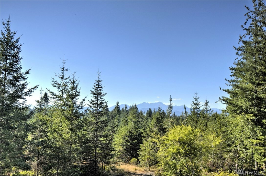 Property Photo:  1590 E McReavy Rd  WA 98592 