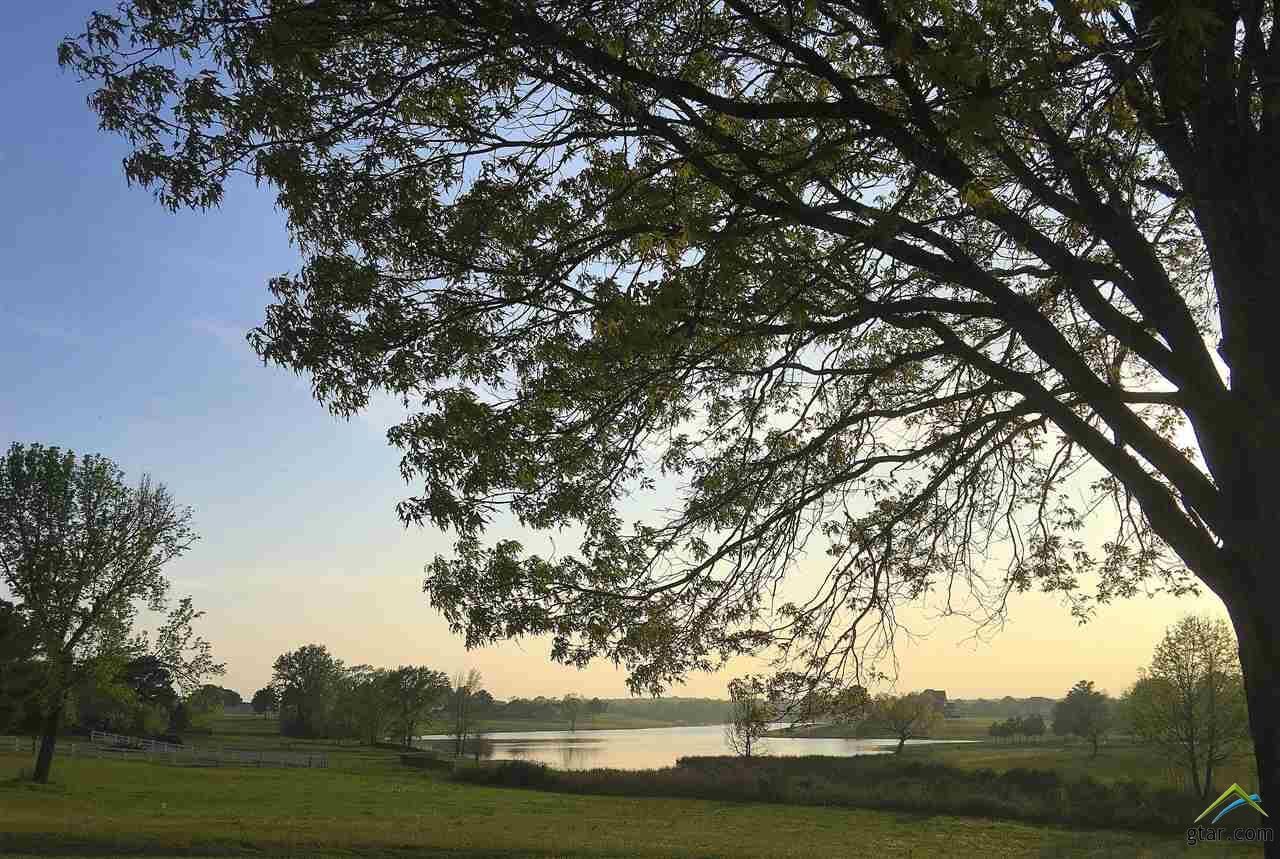 Property Photo:  16390 Stallion Shores Ct (Stallion Lake Ranch Van Isd)  TX 75771 