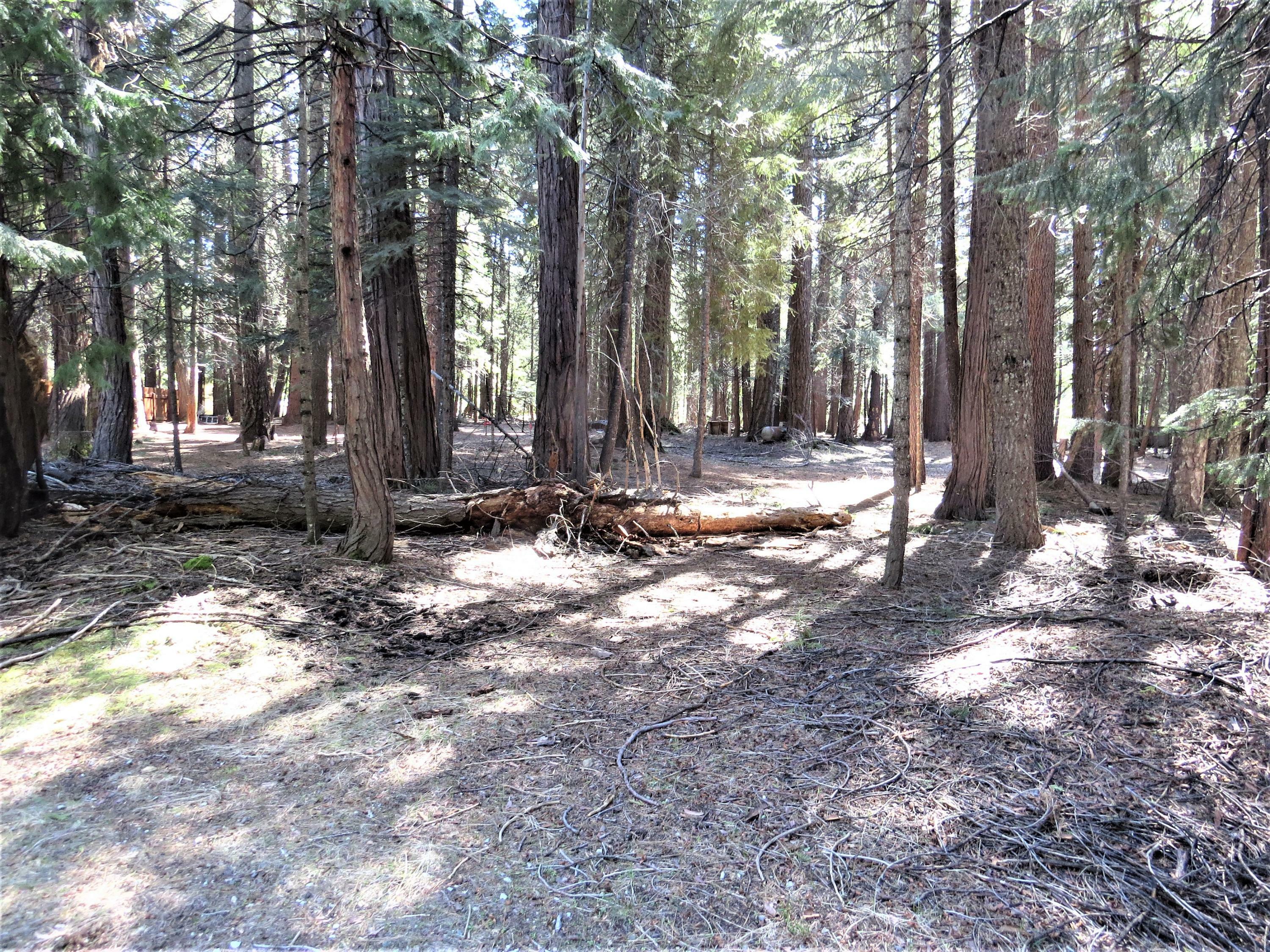 Property Photo:  35479 Redwood Dr  CA 96088 